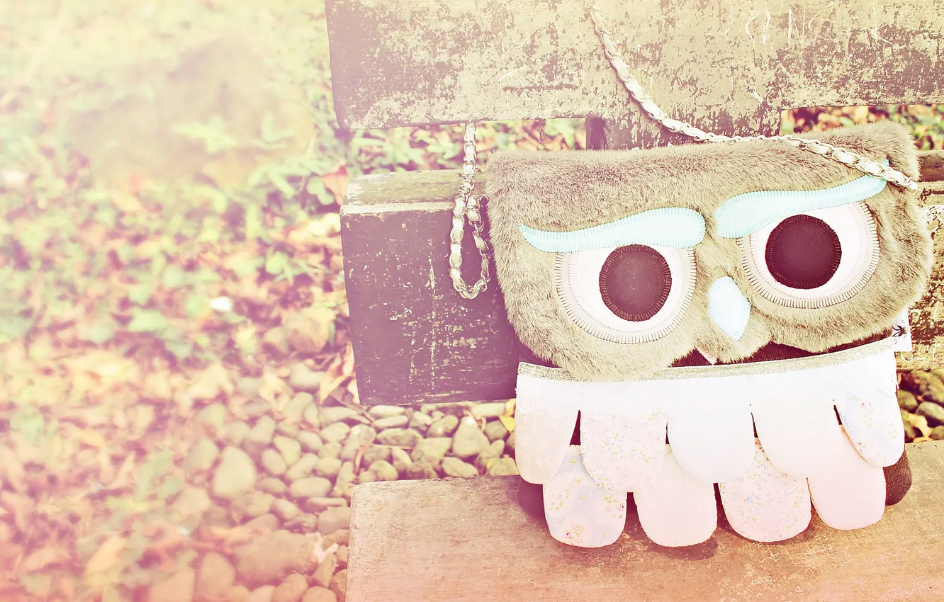 Фото обои soft, bag, owl, pastel, owlie, soft tones