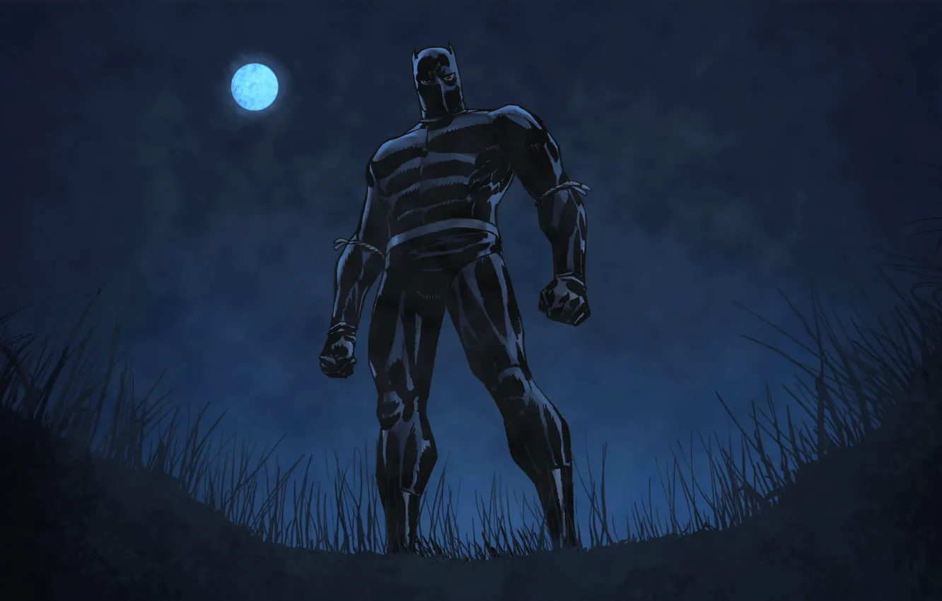 Фото обои трава, ночь, поза, Луна, костюм, Marvel Comics, T'Challa, Черная пантера