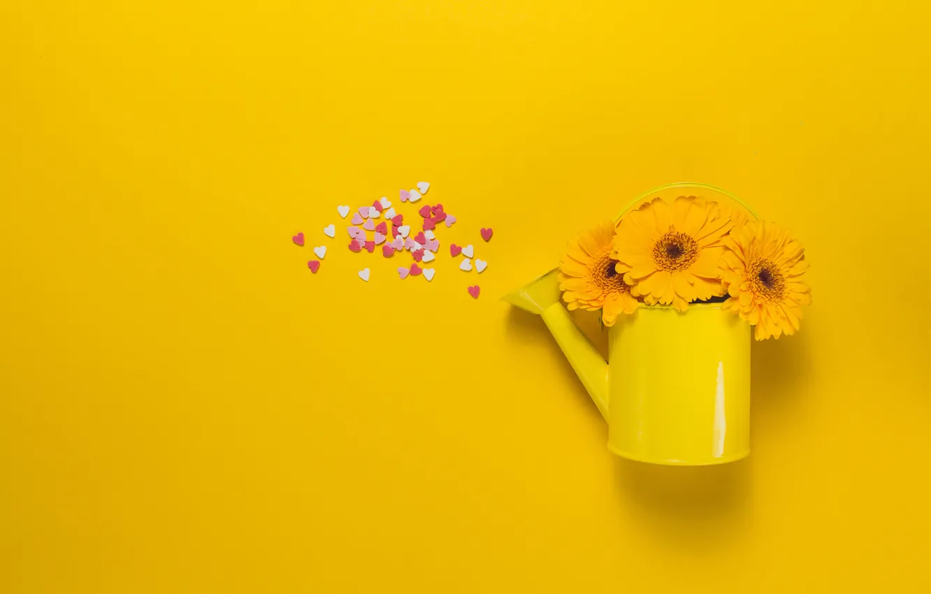 Фото обои цветы, букет, желтые, сердечки, лейка, герберы, Valeria Aksakova