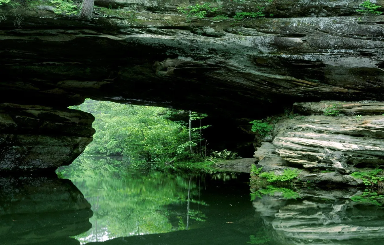 Фото обои зелень, мост, отражение, речка, каменный, природный