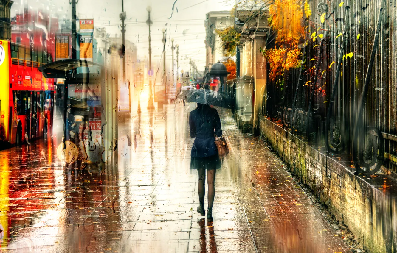 Фото обои девушка, капли, дождь, зонт, Санкт-Петербург