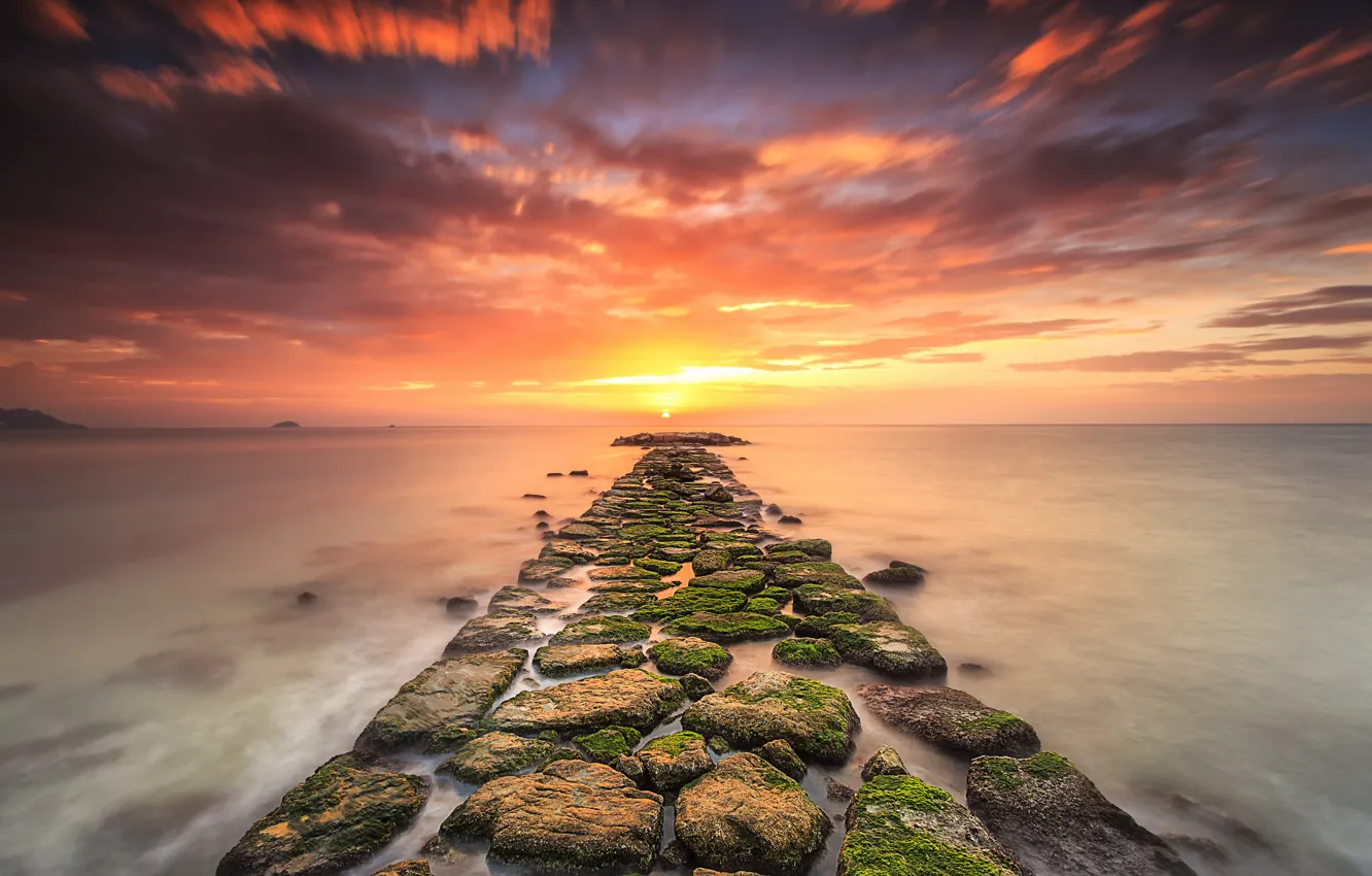 Фото обои sea, sunset, stones, moss