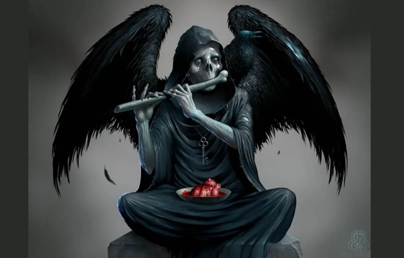 Фото обои сердце, череп, Смерть, кость, ворон, черные крылья, лохмотья, саван