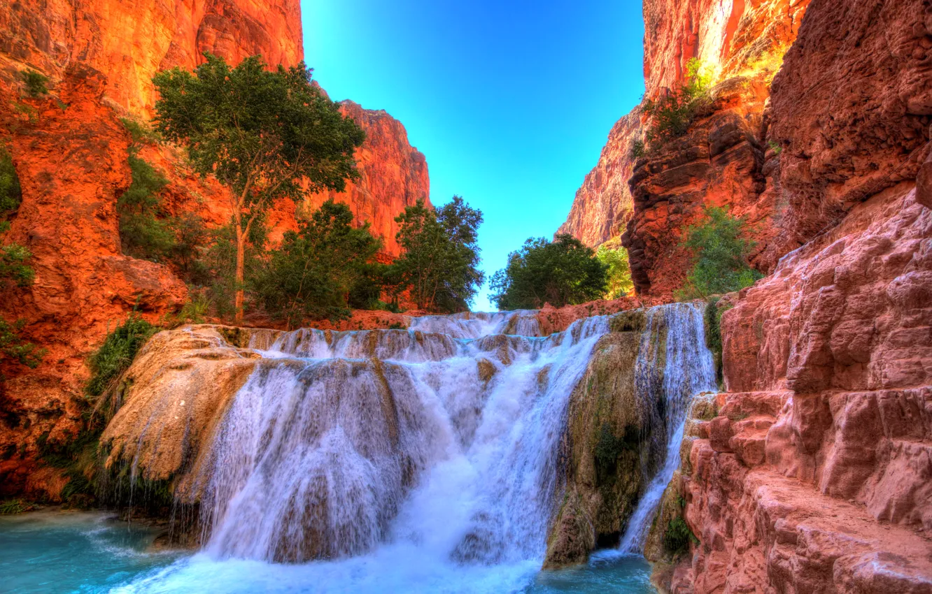 Фото обои скалы, водопад, hdr, каньон, США, кусты, Arizona, Grand Canyon National Park
