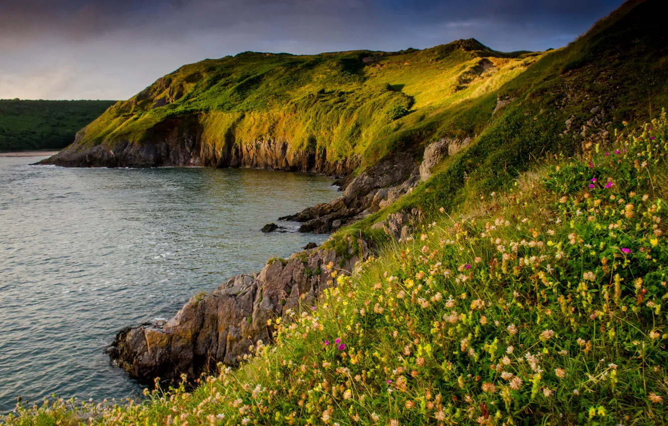 Фото обои море, цветы, камни, скалы, берег, Великобритания, Three Cliffs Bay, Gower Peninsula