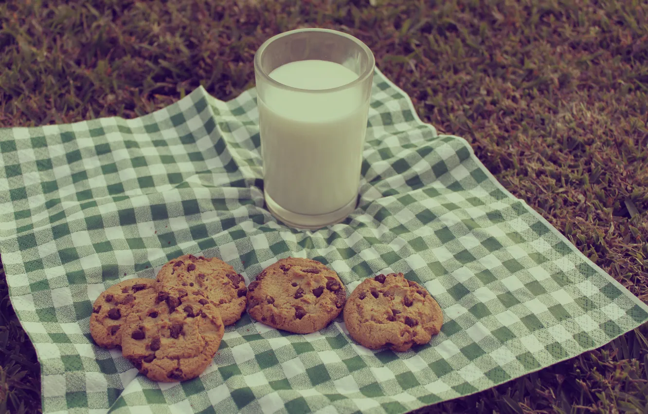 Фото обои стакан, молоко, печенье, пикник