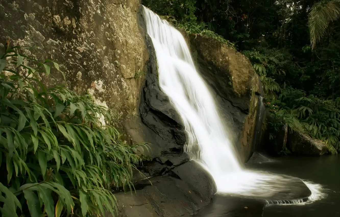 Фото обои природа, скалы, водопад, джунгли