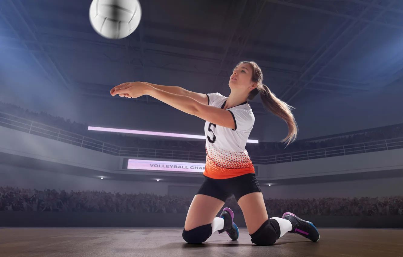 Фото обои professional, female, volleyball, players, action