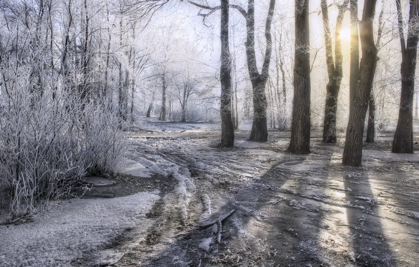 Фото обои лед, зима, иней, дорога, солнце, снег, деревья, HDR