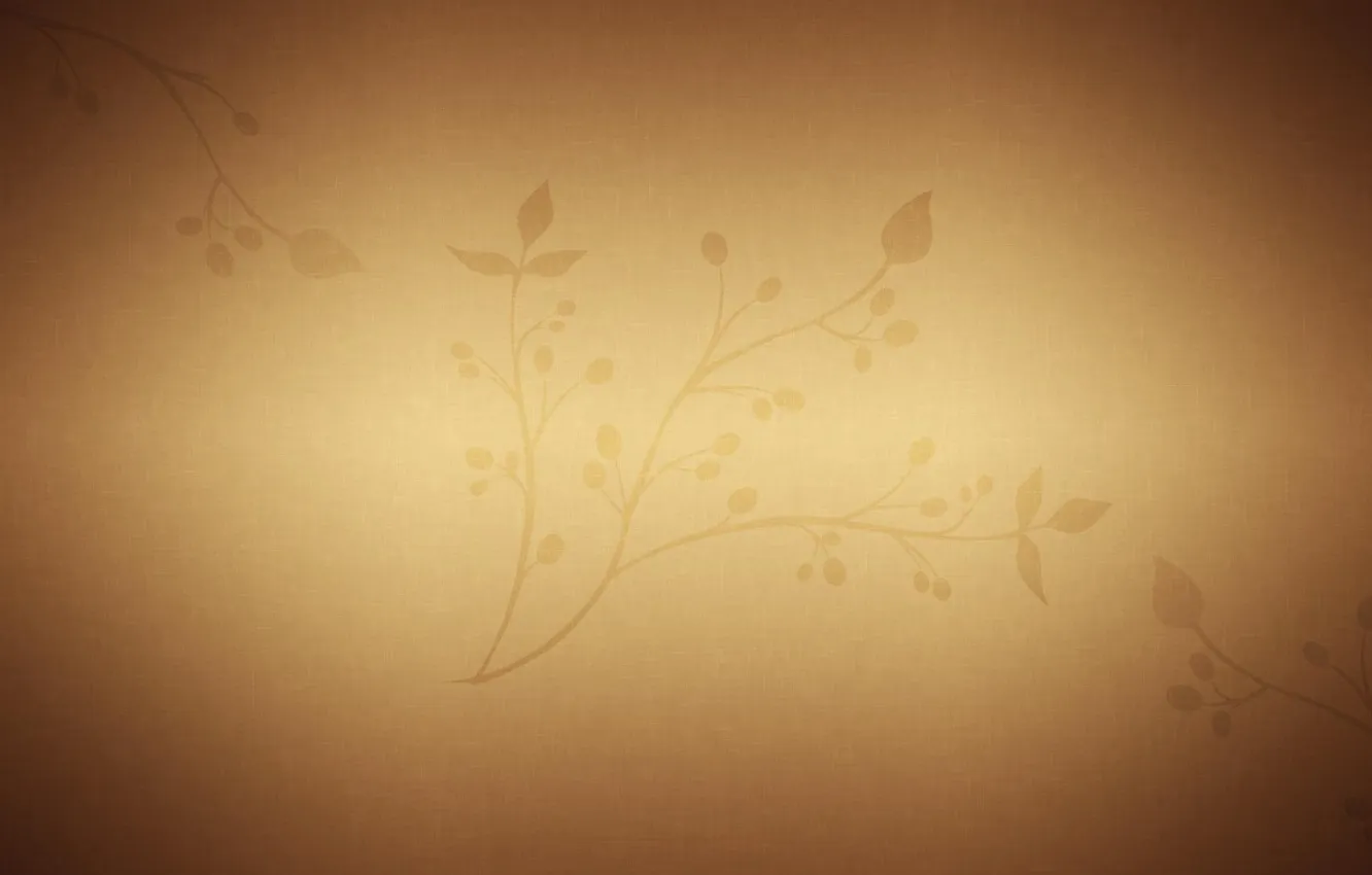 Фото обои цветы, обои, текстура