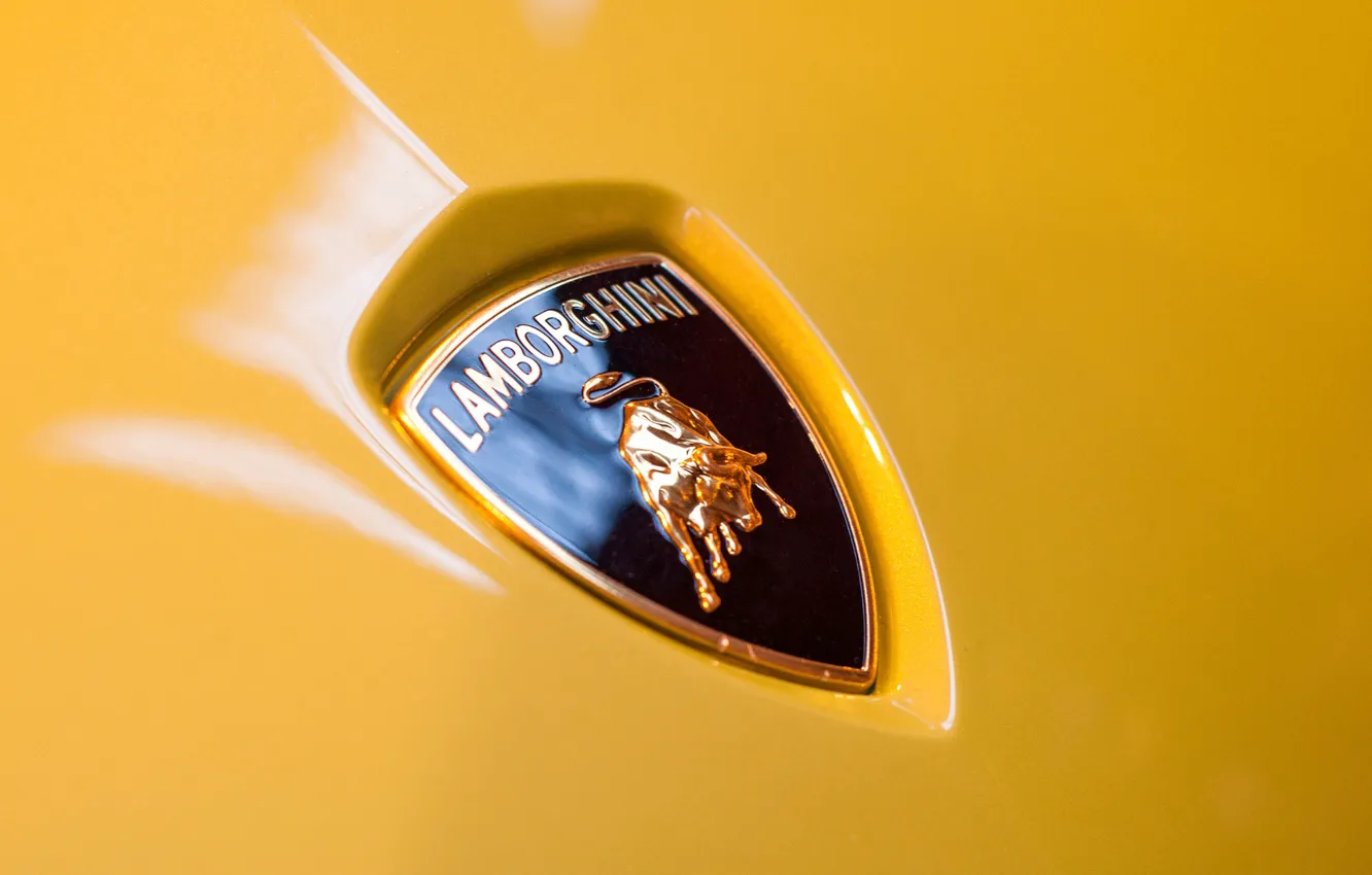 Фото обои макро, Lamborghini, капот, эмблема