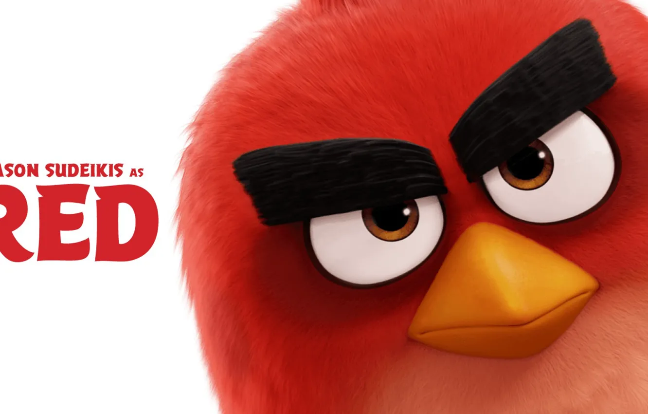 Фото обои cinema, animation, Red, game, bird, eyes, wings, cartoon