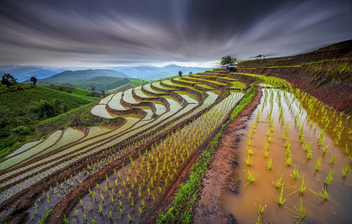 Фото обои небо, вода, ростки, склоны, выдержка, Таиланд, рисовые поля