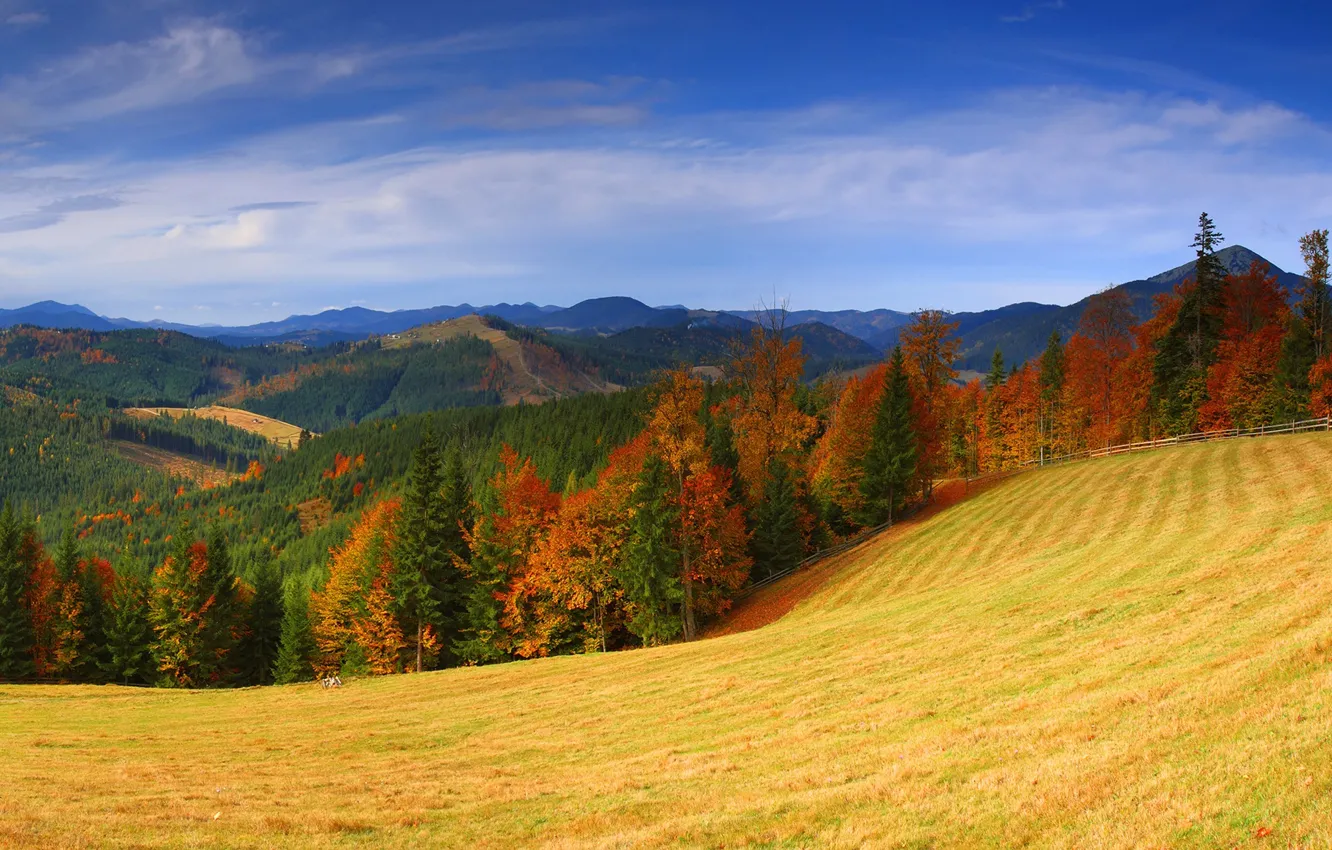 Фото обои осень, небо, трава, солнце, облака, деревья, горы, поля