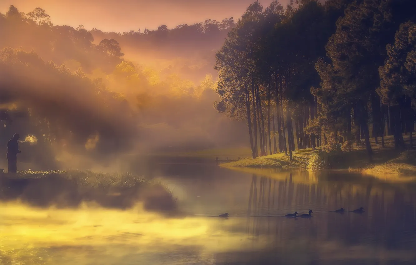 Фото обои туман, река, утки, рыбак, утро, дымка