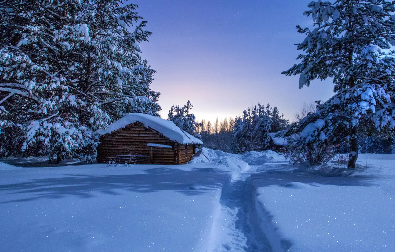 Фото обои зима, снег, ночь, тропа, домики