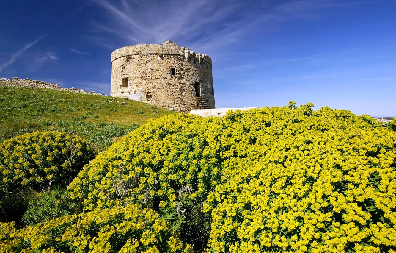 Фото обои цветы, башня, холм, испания
