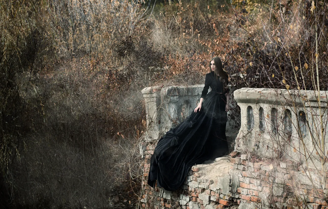 Фото обои dark, lady, pose, black dress