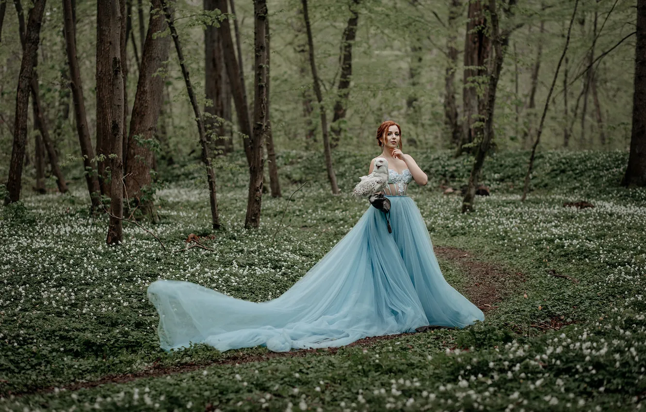 Фото обои лес, девушка, цветы, сова, птица, поляна, весна, платье