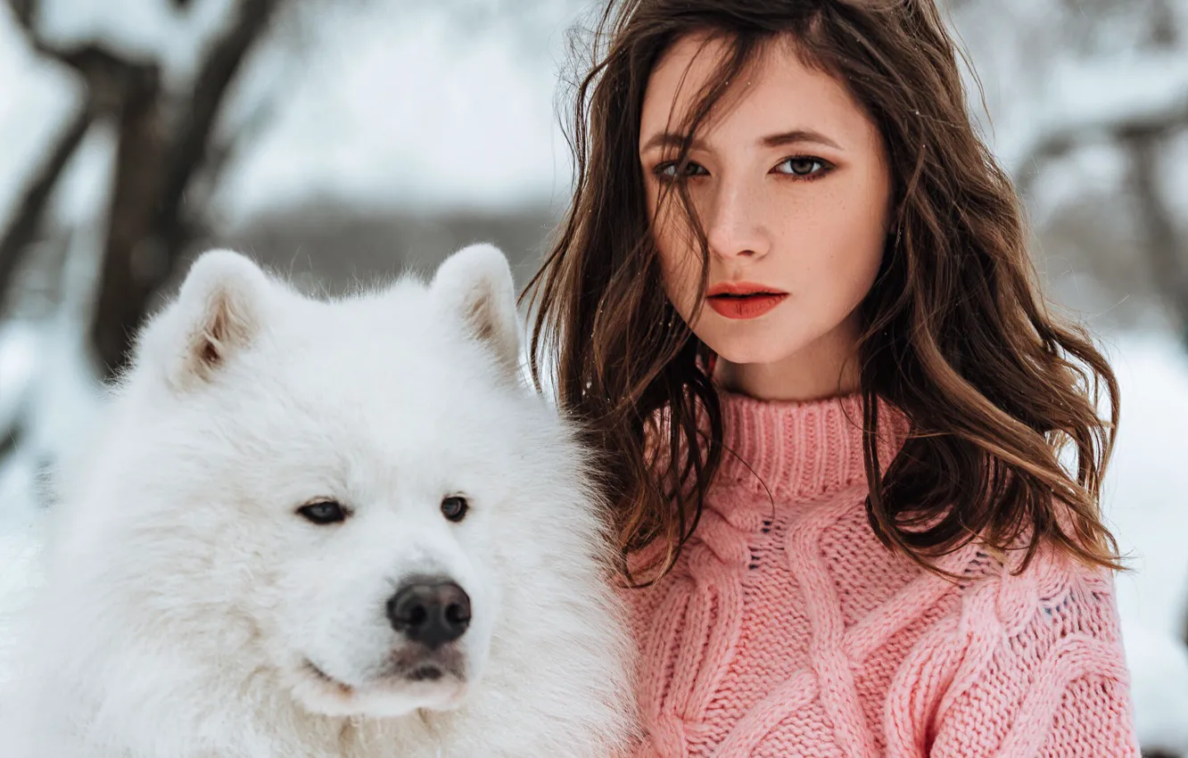 Фото обои girl, long hair, brown hair, photo, photographer, dog, blue eyes, model