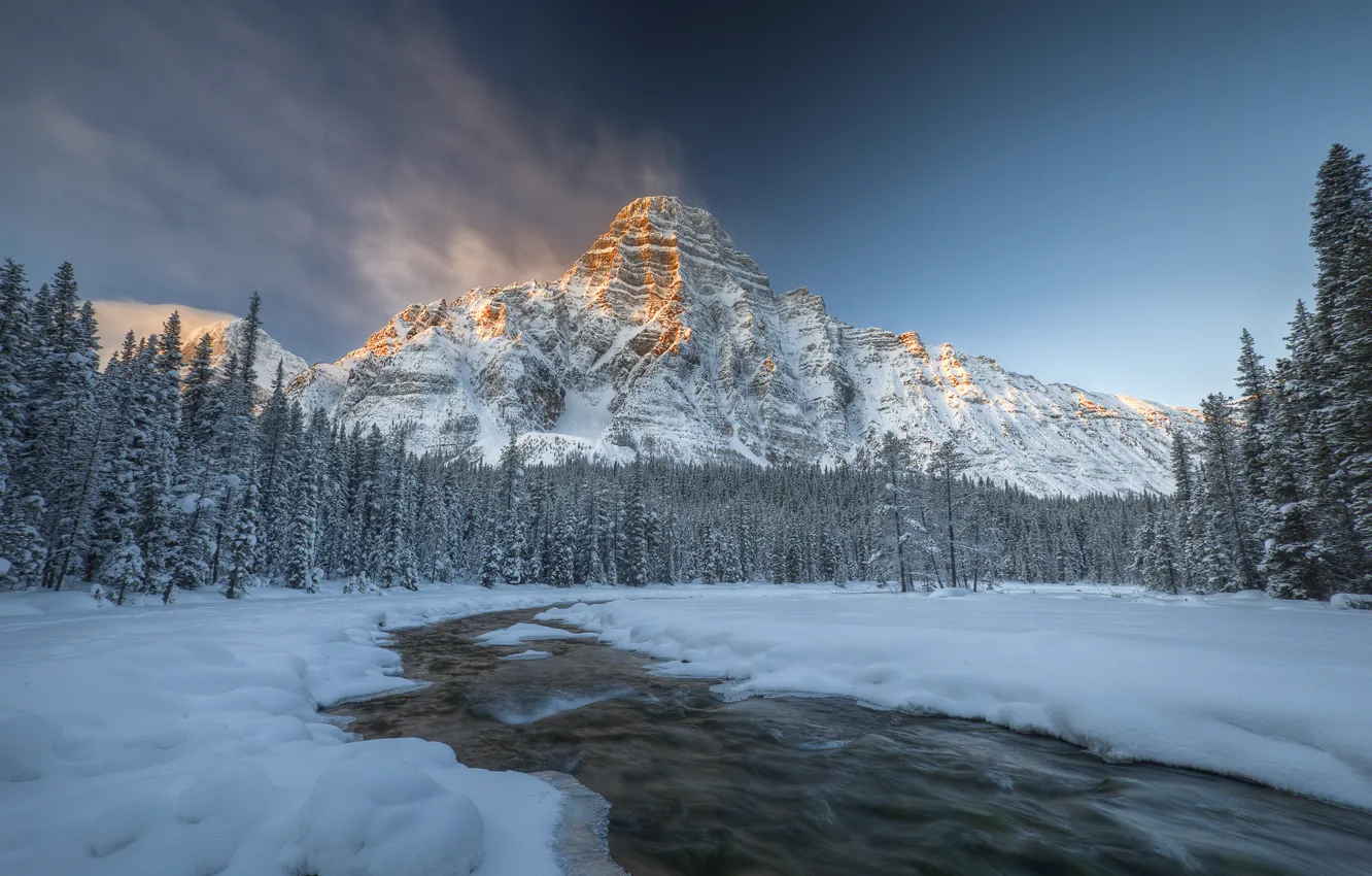 Фото обои зима, лес, снег, река, Канада, Альберта, Национальный парк Банф, Гора Чефрен
