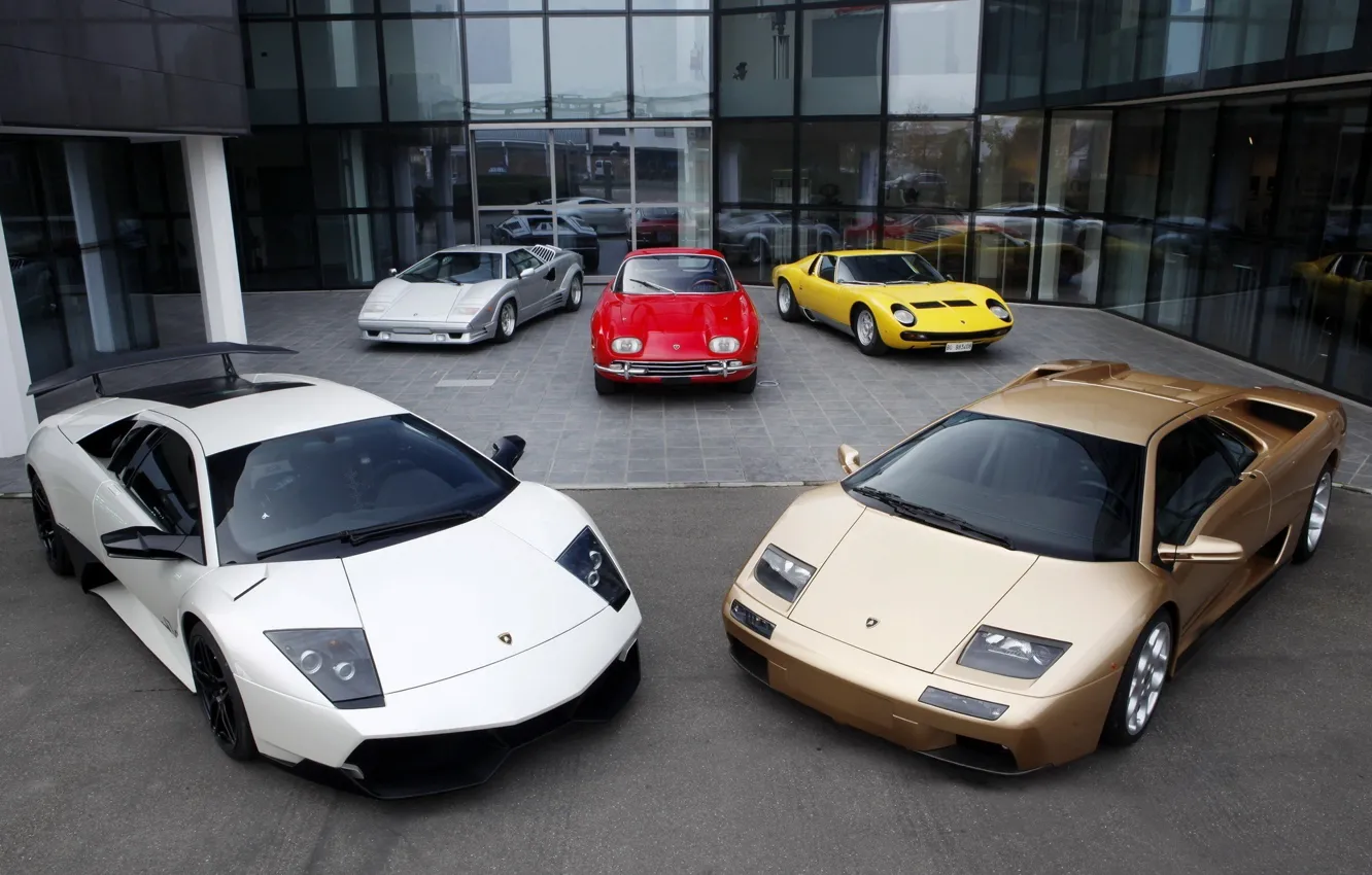Фото обои Lamborghini, Murcielago, 350 GT, Diablo, Miura, Countach