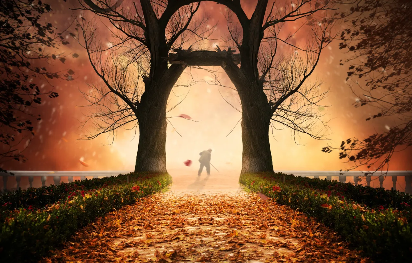 Фото обои осень, деревья, листва, человек, фотошоп, мостик