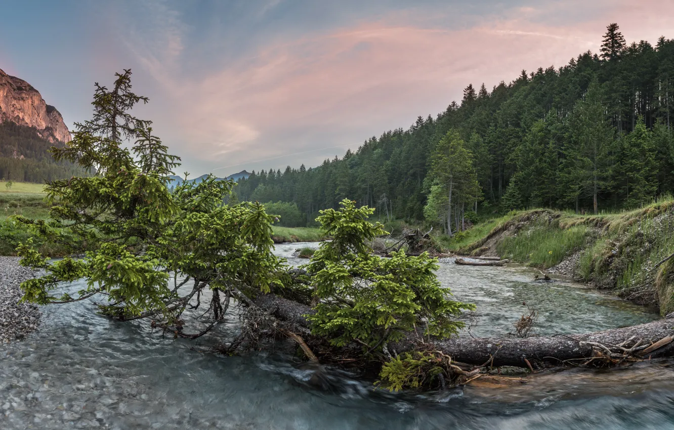 Фото обои деревья, горы, природа, река, камни, дерево, леса