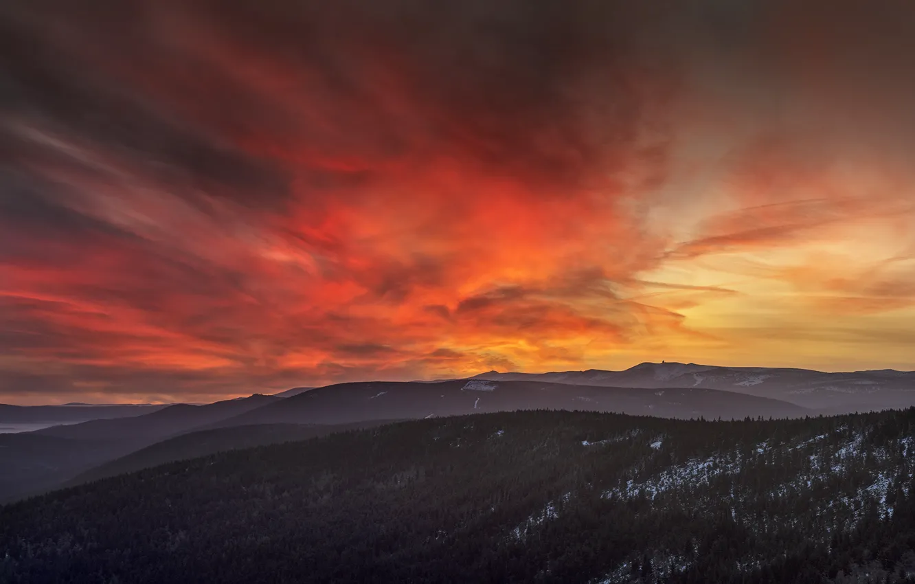 Фото обои лес, небо, закат, горы, Robert Kropacz