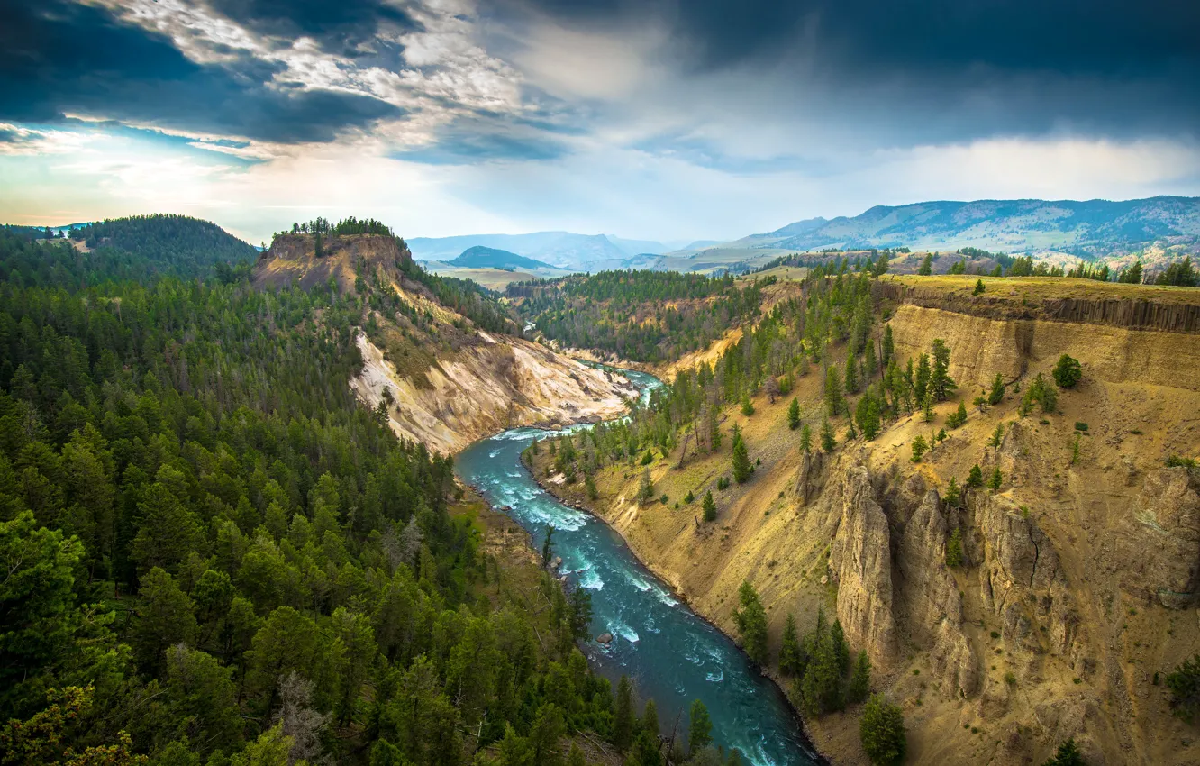 Фото обои деревья, горы, природа, река, Yellowstone National Park