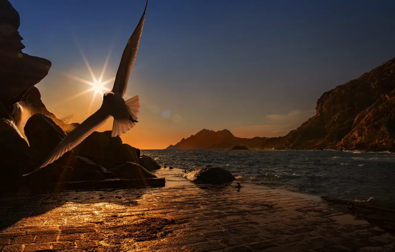 Фото обои море, солнце, горы, камни, птица, чайка, вечер, полёт