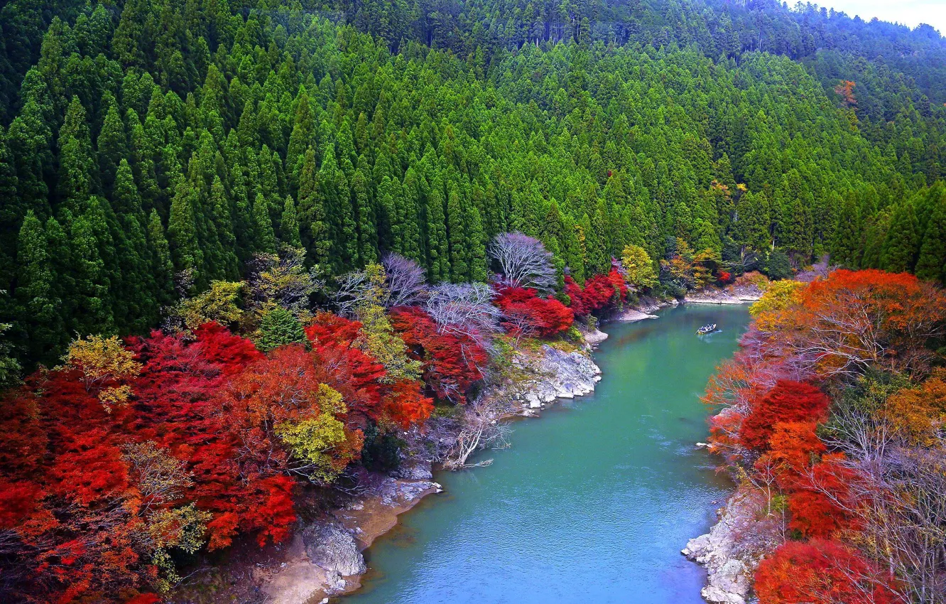Фото обои осень, деревья, Река, берега, Япония.