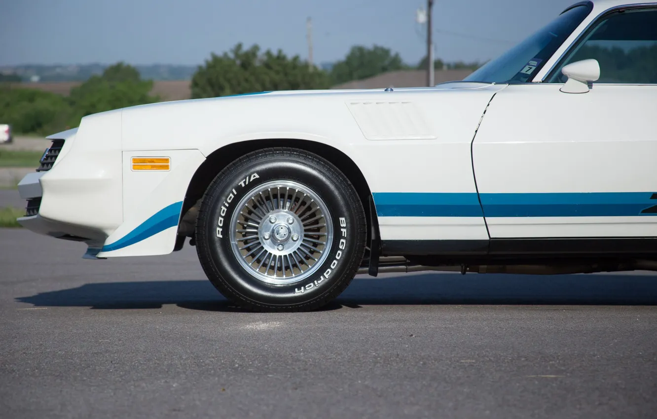 Фото обои camaro, chevrolet, z28, 1979