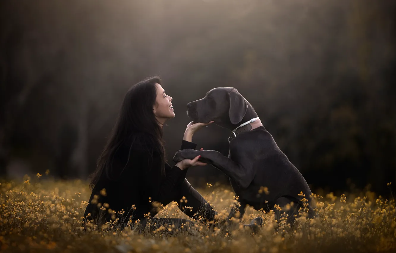 Фото обои девушка, цветы, настроение, лапа, собака, дружба, друзья