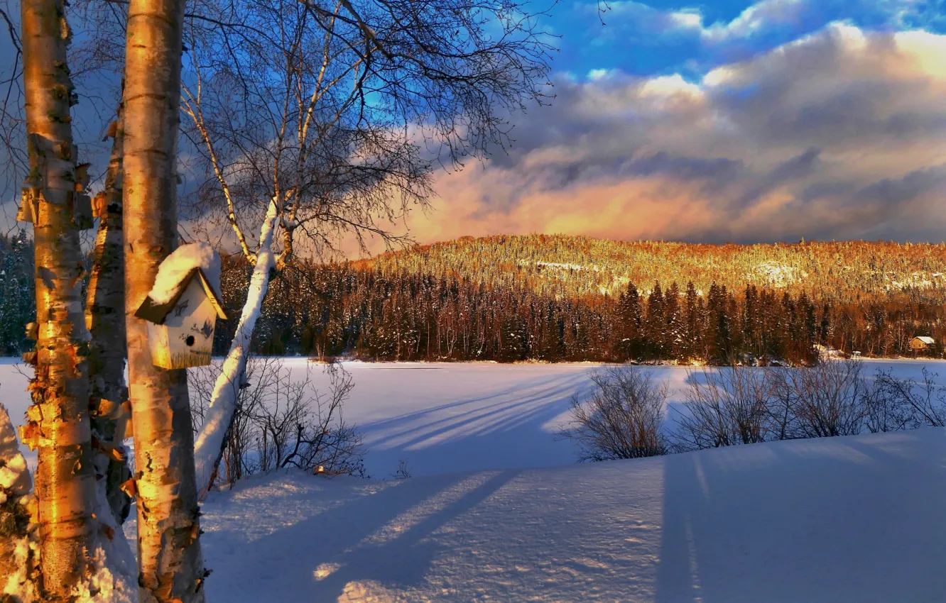Фото обои зима, снег, деревья, пейзаж, закат, природа, холм, Канада