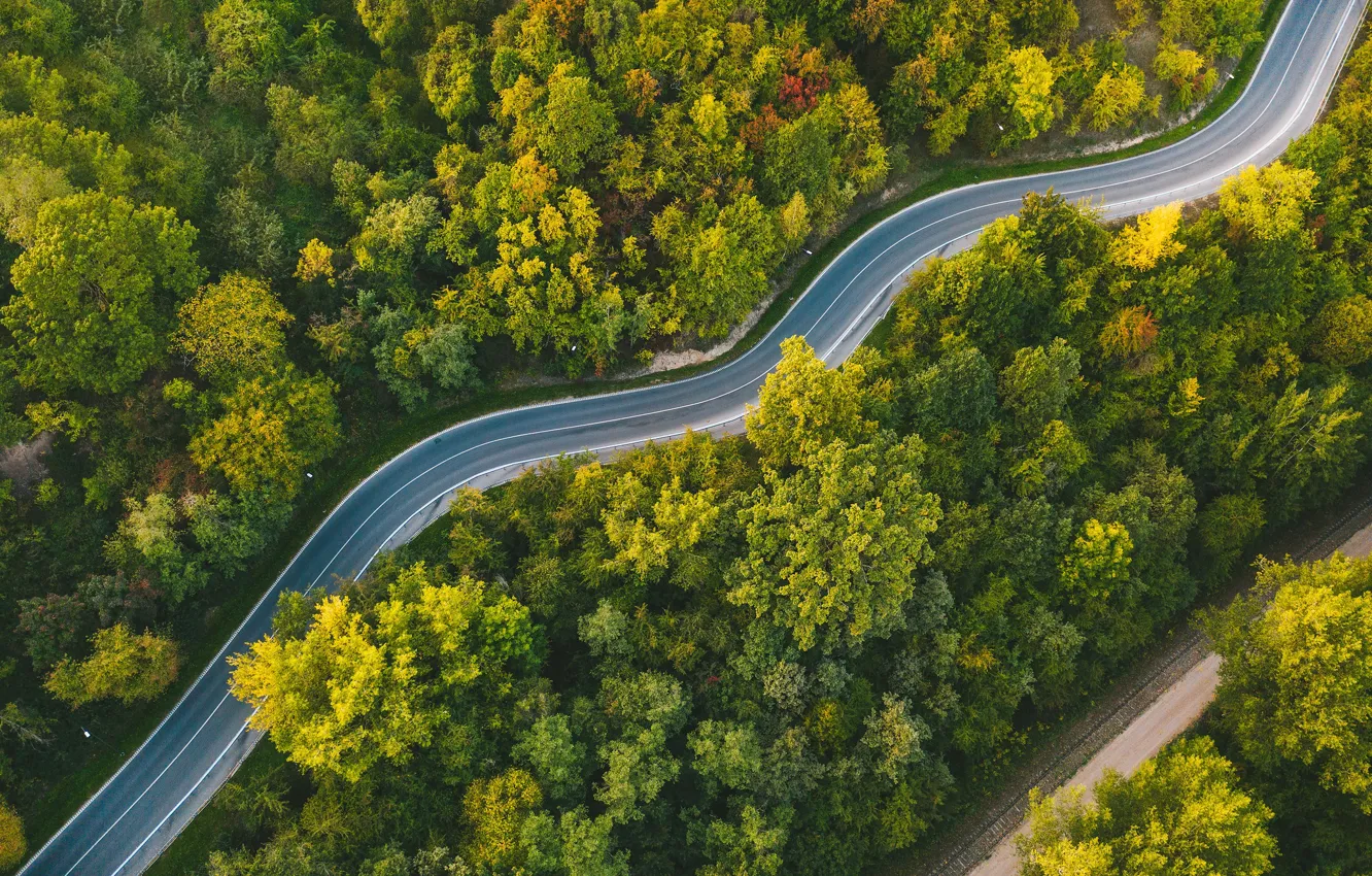 Фото обои дорога, лес, Литва, извилистая