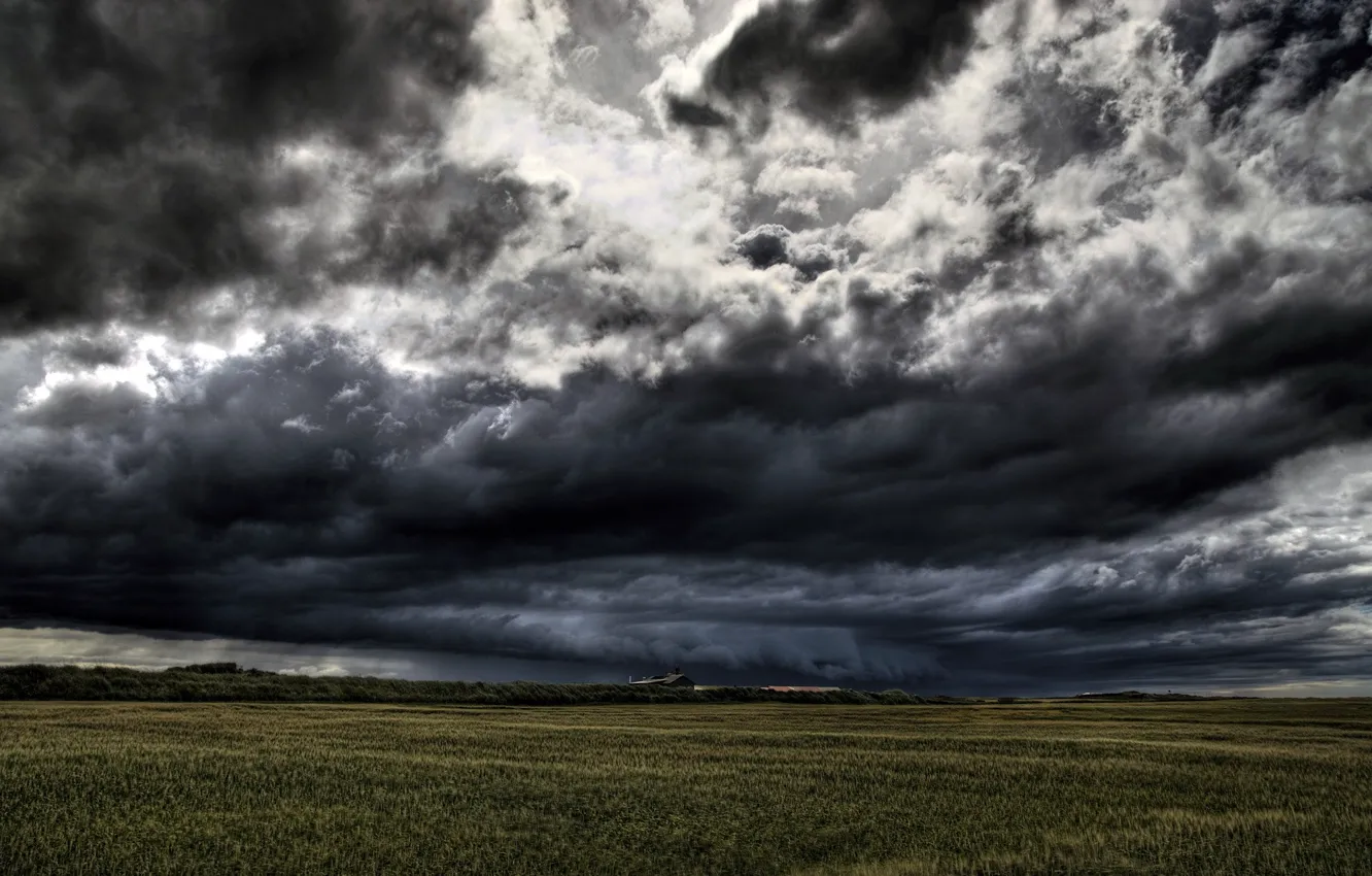 Фото обои поле, облака, мрак