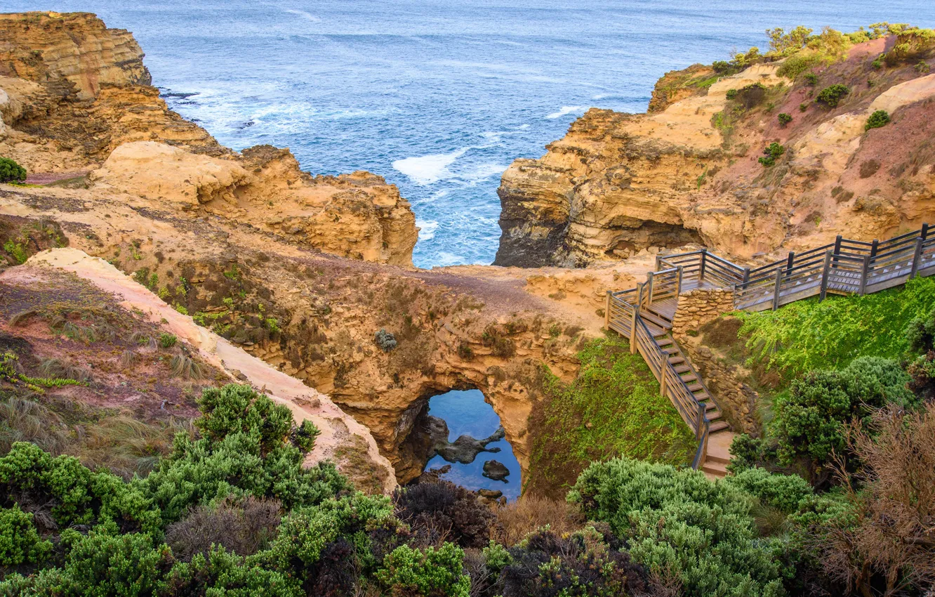 Фото обои море, камни, скалы, побережье, Австралия, лестница, тропинка, кусты