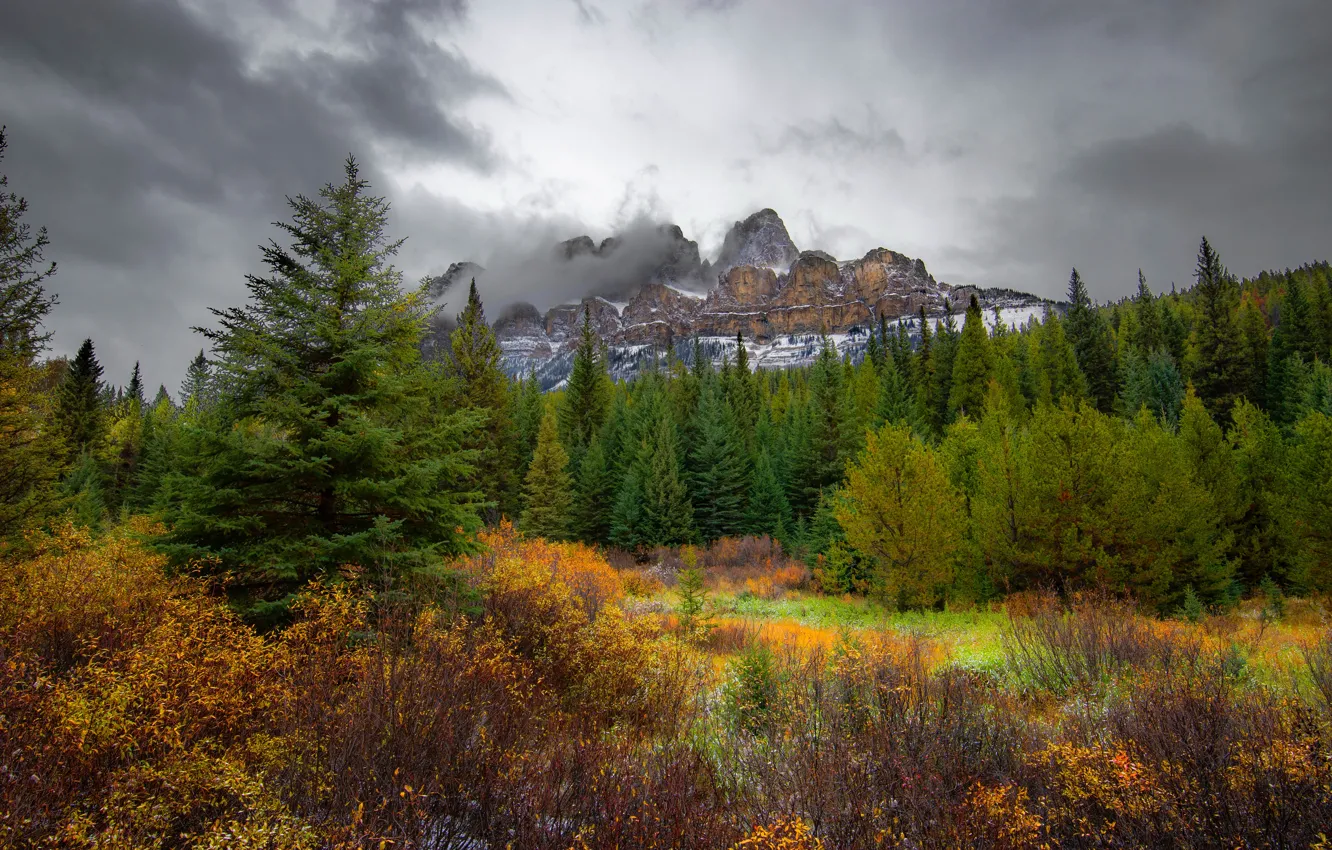 Фото обои осень, лес, облака, деревья, горы, скалы, Banff National Park, Alberta
