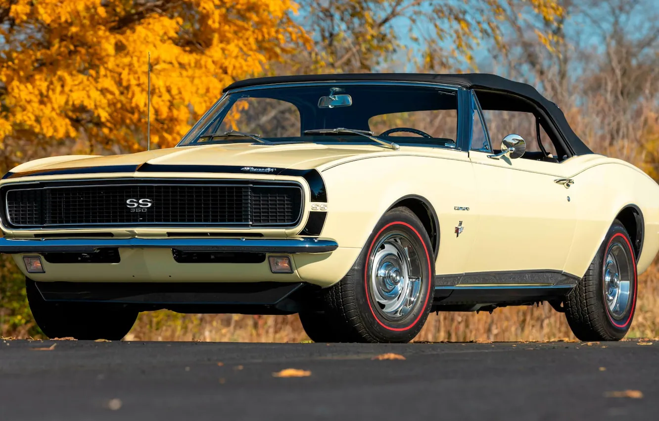 Фото обои Chevrolet, Camaro, road, Chevrolet Camaro SS