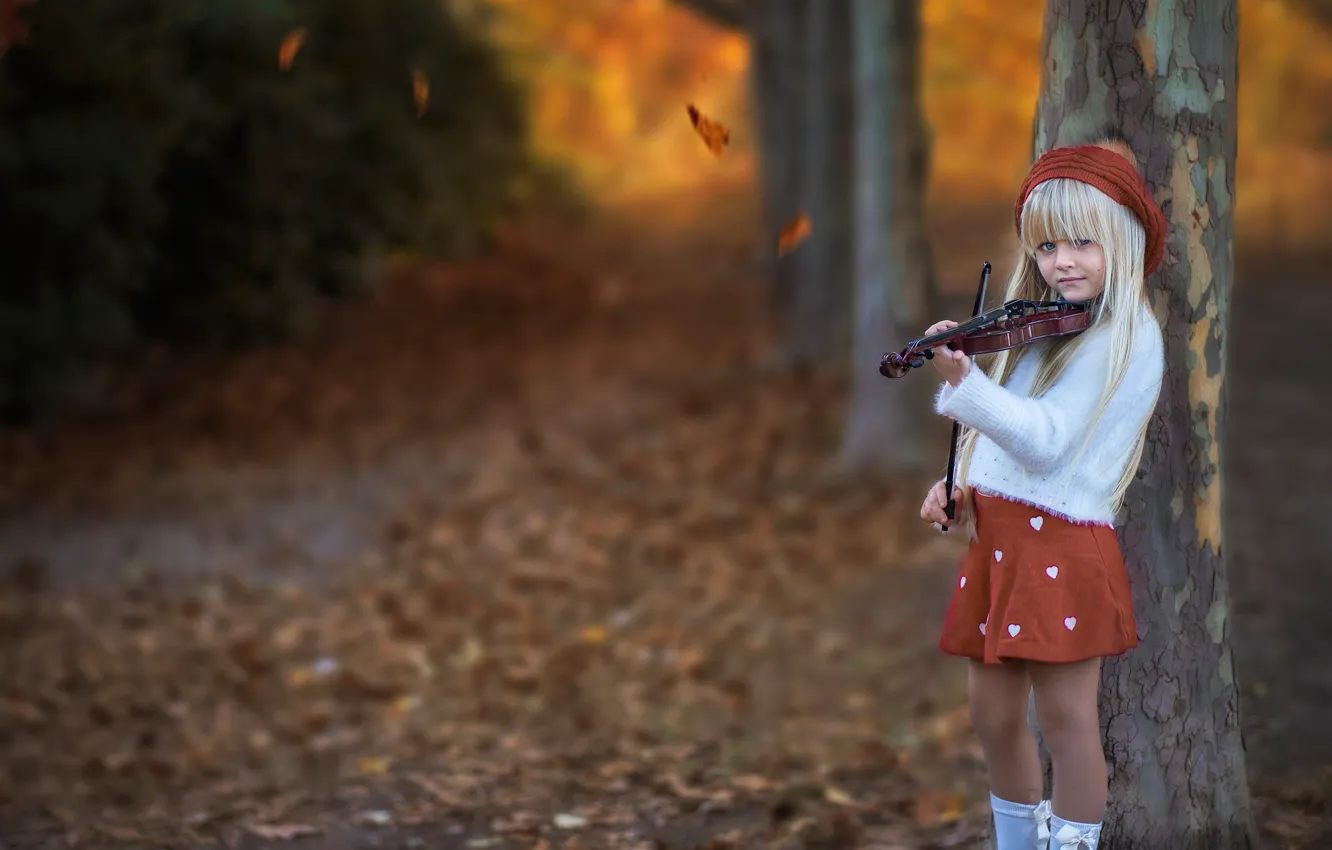 Фото обои осень, листья, деревья, настроение, скрипка, девочка