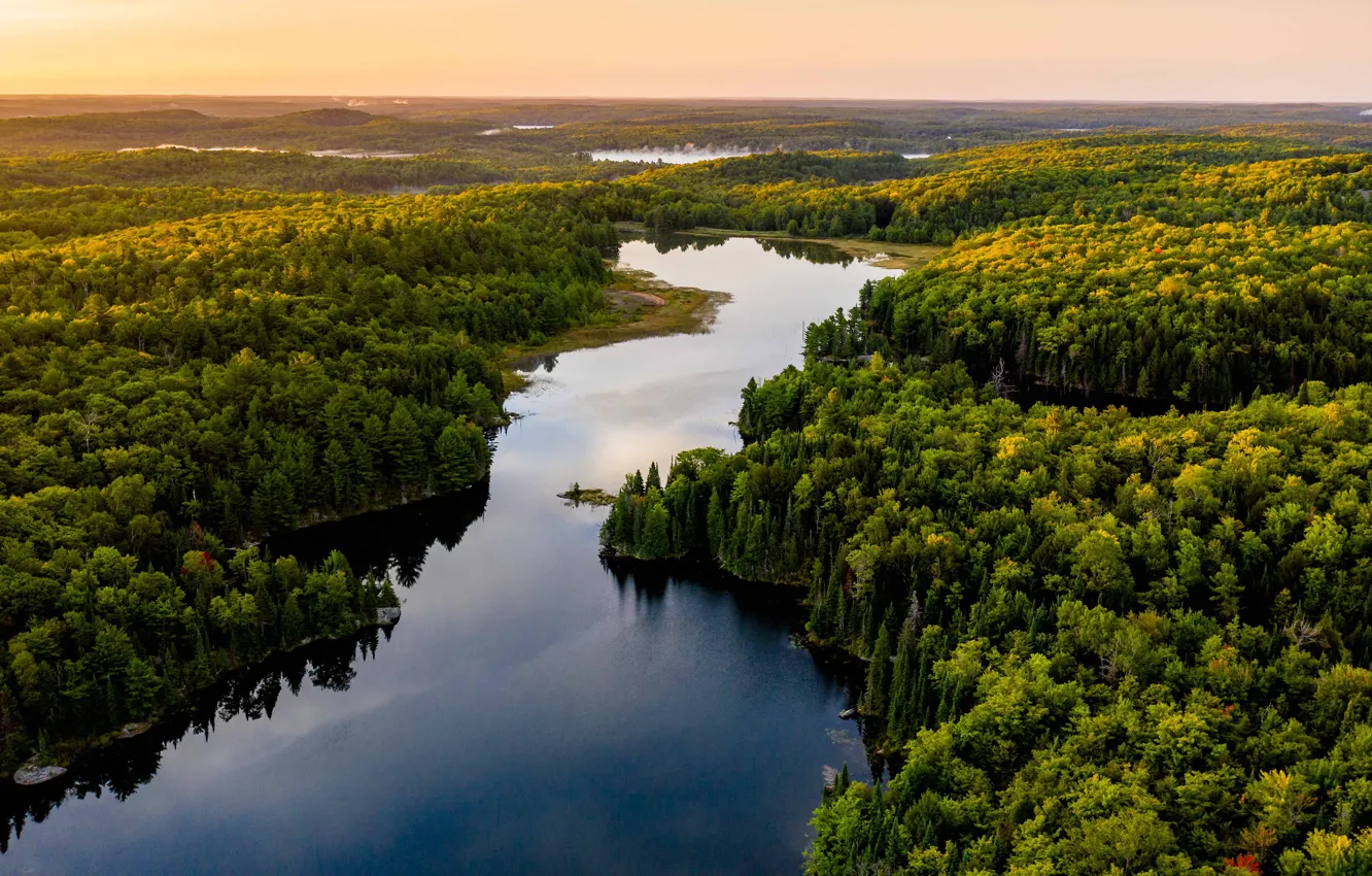 Фото обои лес, река, берег, водоем