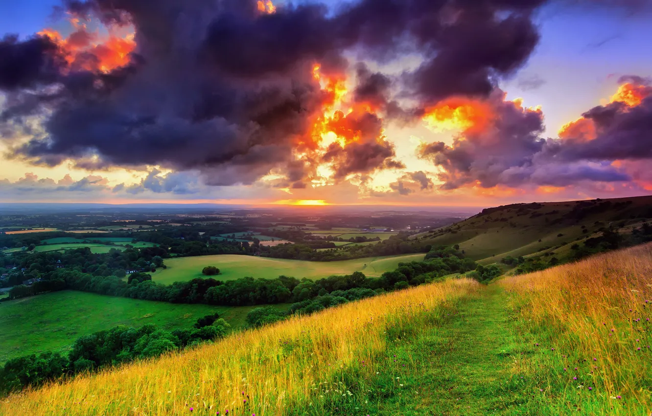 Фото обои зелень, поле, небо, трава, солнце, облака, деревья, пейзаж
