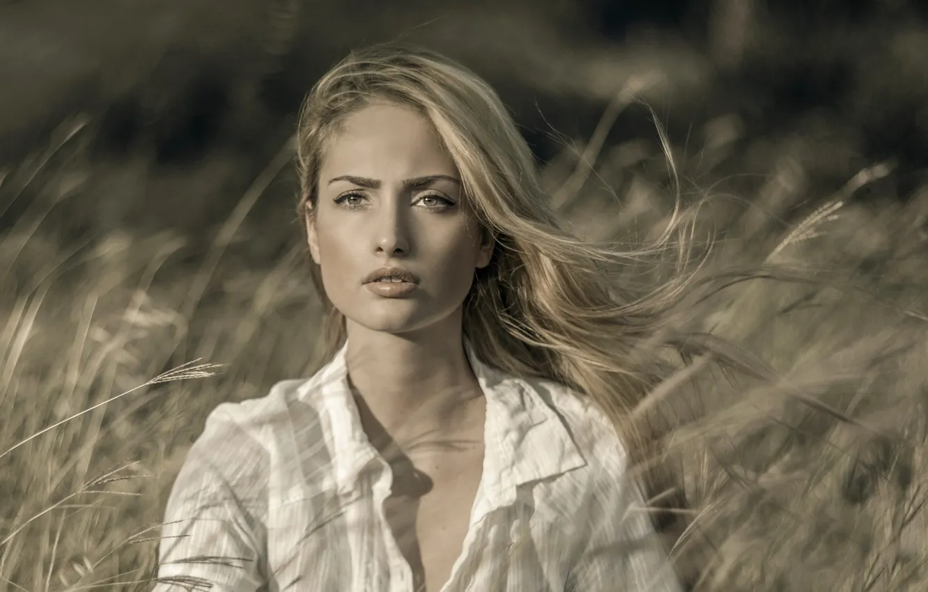Фото обои лето, трава, взгляд, девушка, природа, блондинка, блузка, Besarion Chakhvadze