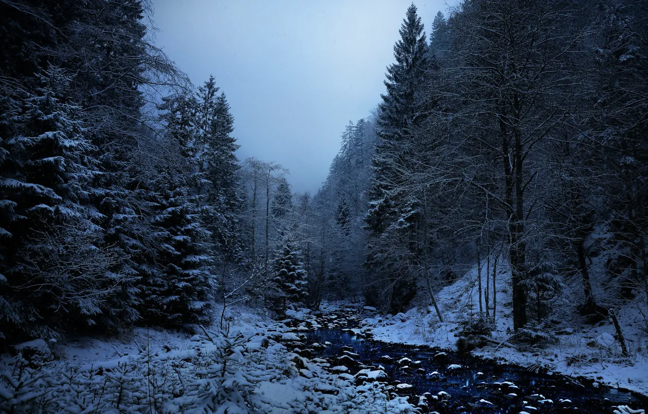 Фото обои winter, cold, Memento mori