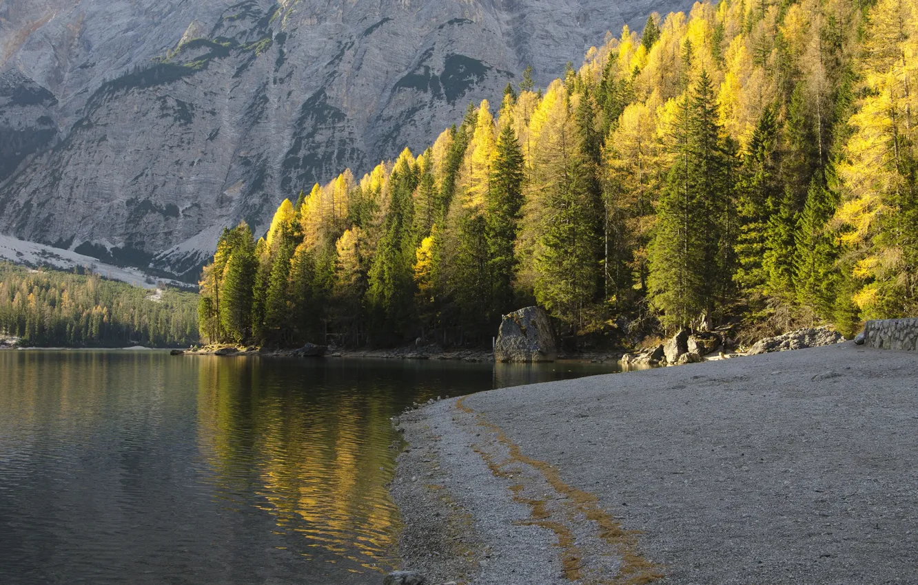 Фото обои осень, деревья, горы, природа, река