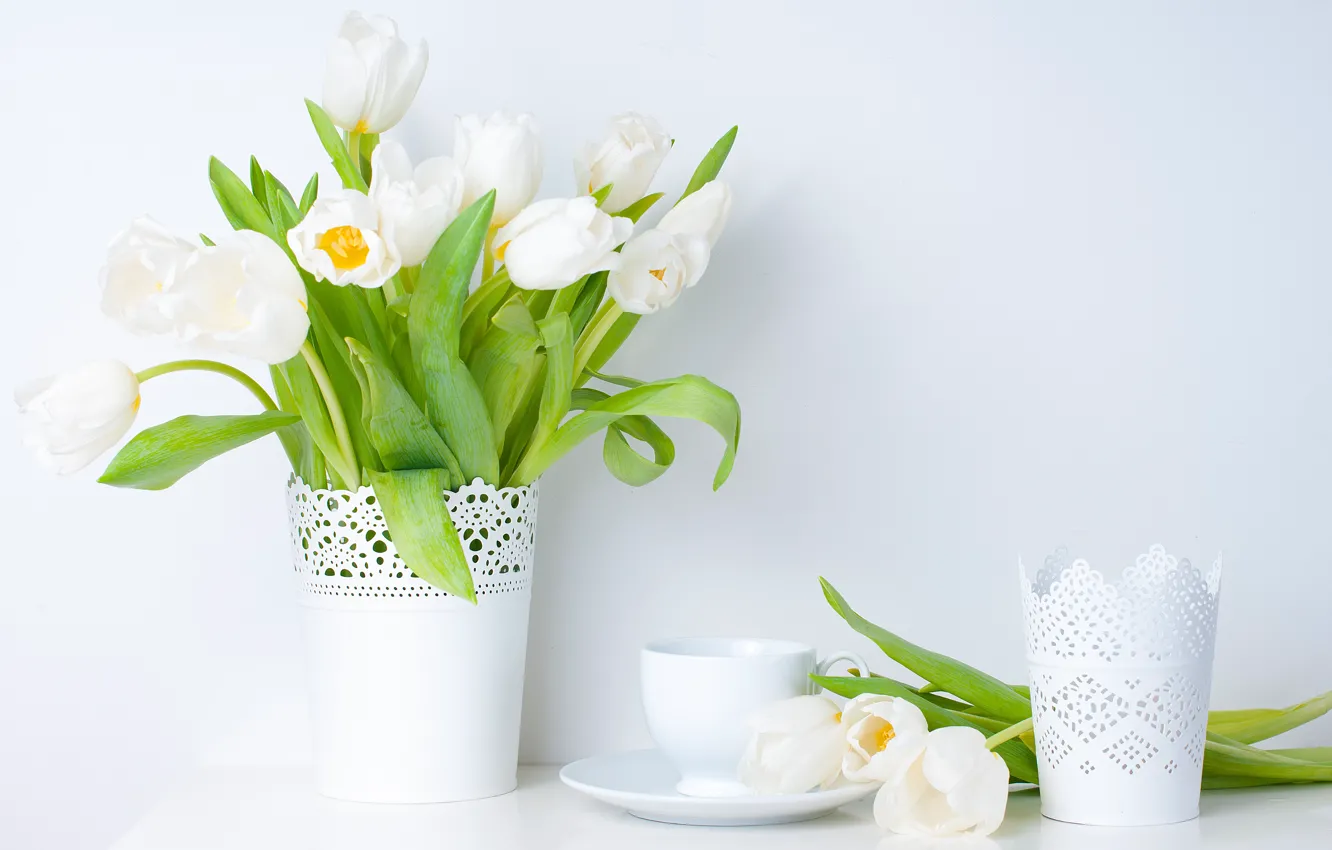 Фото обои листья, цветы, весна, чашка, тюльпаны, ваза, белые, блюдце