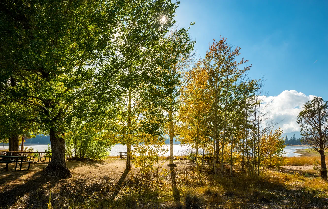 Фото обои осень, деревья, пейзаж, озеро, парк, стол, скамья