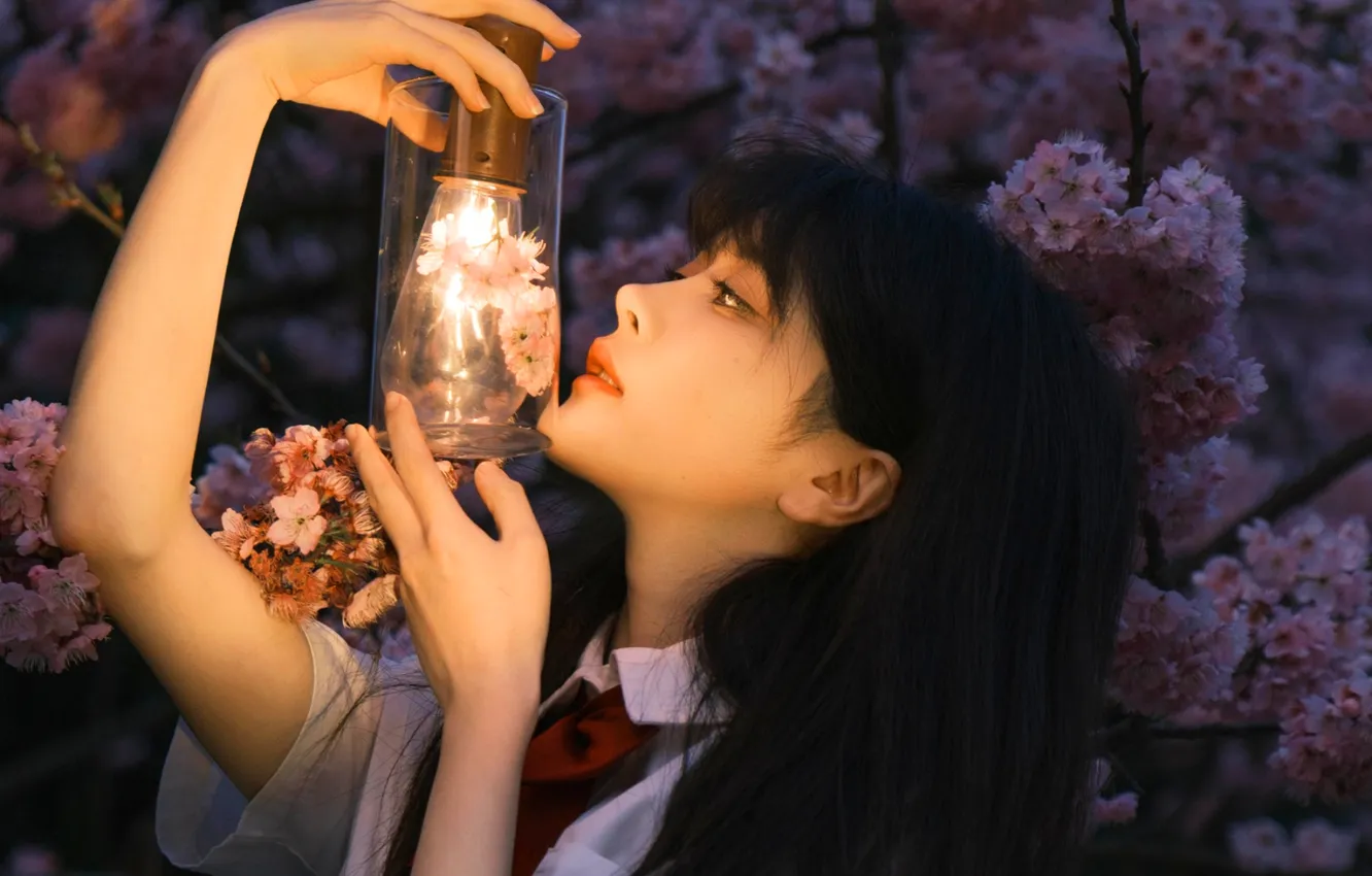 Фото обои Dark, Light, Beautiful, Asian, Model, Flowers, Night, Woman