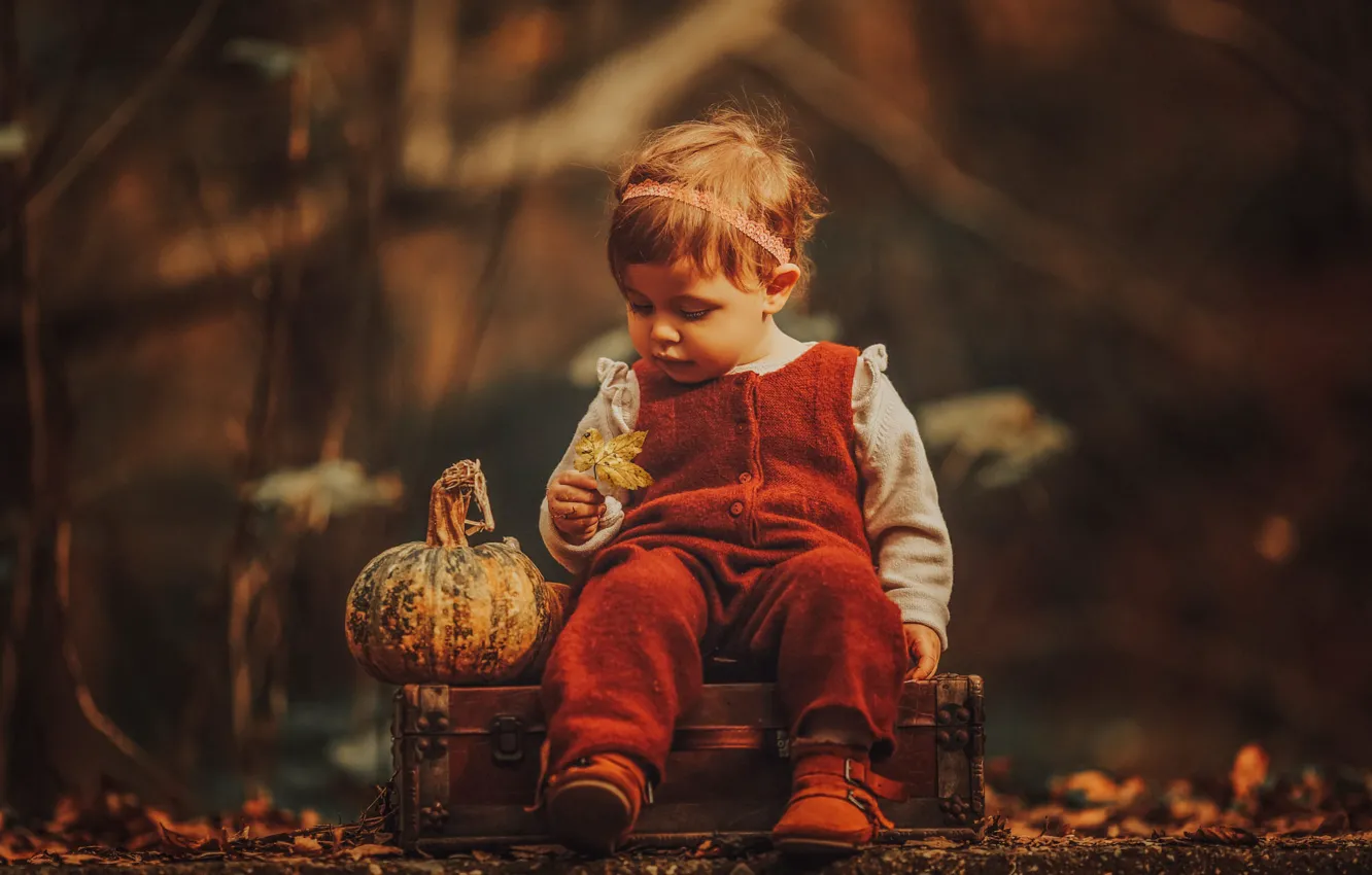Фото обои осень, природа, лист, девочка, тыква, чемодан, комбинезон, малышка